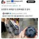 중국은 이제 이런 대형 블루베리도 나오는거지?
