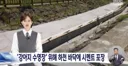 대환장 제주도 근황