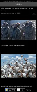 트릭컬)근데 아야 피부색은 개연성 확실하지않음?