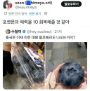 포켓몬 체력 10 회복