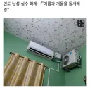 인도인의 실수