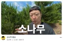 김선태 이제 소나무 홍보까지 하네...