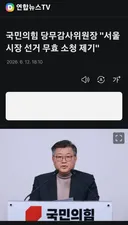 국힘 당무감사위원장...서울시장 무효 소청 제기