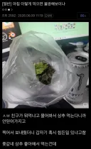 이짤 볼수록 개폭력적이네