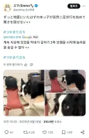 "지금껏 속여서 미안하군, 멍멍군"