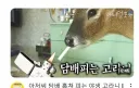 안누를수없는 유툽 썸네일