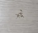 이 ㅈ같은 새끼들