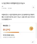 나 당근에서 바퀴벌레 잡고 다님ㅎ (벌레사진 없음)