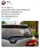 운전 연습하다 순식간에 신분 급상승 함.jpg