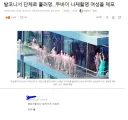 범죄자들 모자이크에 분노한 네티즌.