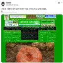 나방과 식물에 대해 검색하다가 도달한 사이트.jpg