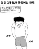복싱 3개월차 금쪽이의 하루.manhwa
