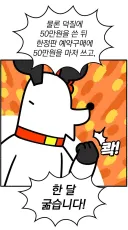 진돌의 아내 히디님은 디즈니 덕후이다