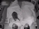 집사 잠 못자게하는 냥아치