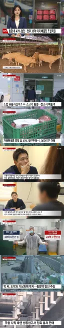 횡령 후 40% 할인...한우 38억 원 어치 빼돌린 조합 직원