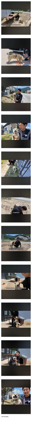 평생 묶여있던 시골똥개 산책시키기.jpg