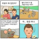 여보, 쥐덫에 쥐새끼 좀 걸렸어?