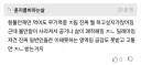항불안제 복용의 딜레마.jpg