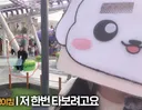진캐 이미 콩주 유튜브에 나온거 알고있음?