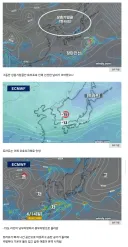ㅌㄹㅍ 떠나자 난리난 한국