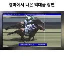 역대급 경마 레이스.jpg