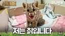 지상파 방송사도 쓰는 밈