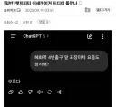 사실만 말하는 챗지피티