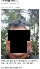 머리 개씨.발 어떡하냐