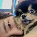 강아지 인형보고 관중석으로 뛰어가는 방탄소년단 뷔