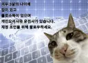 일요일 출근하는 유게이들은 수고해라 ㅋㅋㅋㅋㅋㅋㅋ