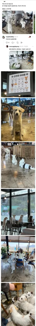 운영이 ㄹㅇ 개판인 인천 영종도 카페