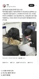 맥주 가져오다 공항에서 걸린 여자