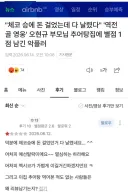 매국노 토쟁이 근황