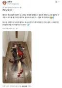 말딸 토레이나 대참사.jpg