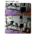 현실 누나 레전드