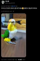 우리집 건강한 강아지를 봐주세요