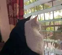 고양이 암컷과 수컷을 함께 키웠더니...