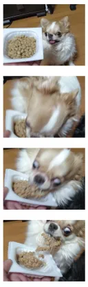 먹을거에 집착하는 성격
