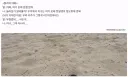 우주에서 지구는 여기 모래 한 알정도 밖에 안돼