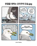 완결을 대하는 태도