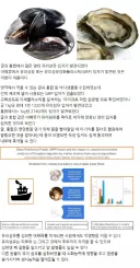 굴, 홍합에서 유리섬유 입자 발견 jpg.