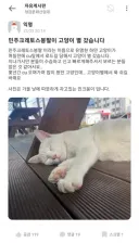 베스트 고양이 민크봉이 근황