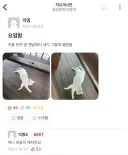 대학교 고양이 이름이 민주크레토스봉팔이 된 이유.eta