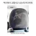 피해자의 원한이 담긴 택시