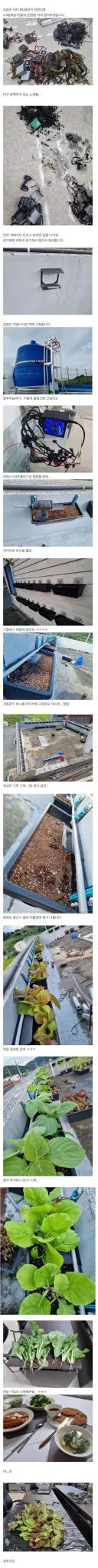 코인체굴하던 사장의 최후