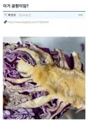 곰팡이 난 음식 씻으면 괜찮죠?