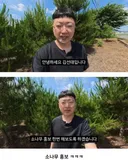 소나무 광고주에게 팩폭하는 김선태