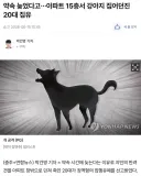 약속 늦었다고…아파트 15층서 강아지 집어던진 20대 집유