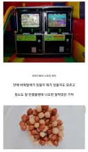 90년대 학생들 면역력을 키워준것들