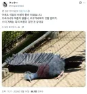 동물원 새 코너에서 사람들이 비명을 지른다는 곳